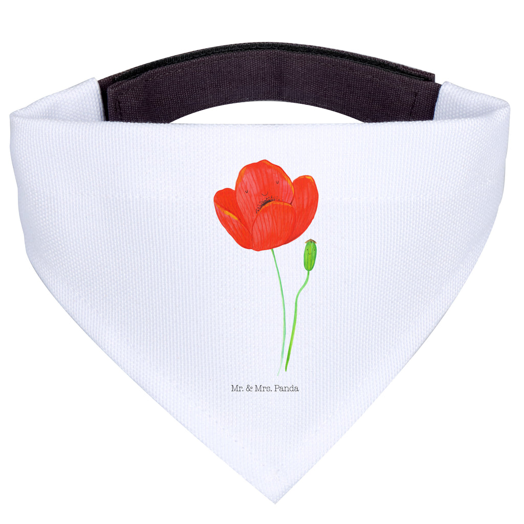 0050036320c0f4c6e45c87f8bf91e96d