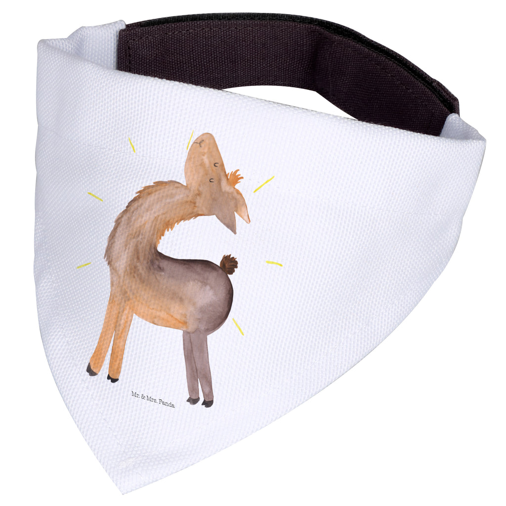 074e58e1cd3e3f357f5c513972070d00