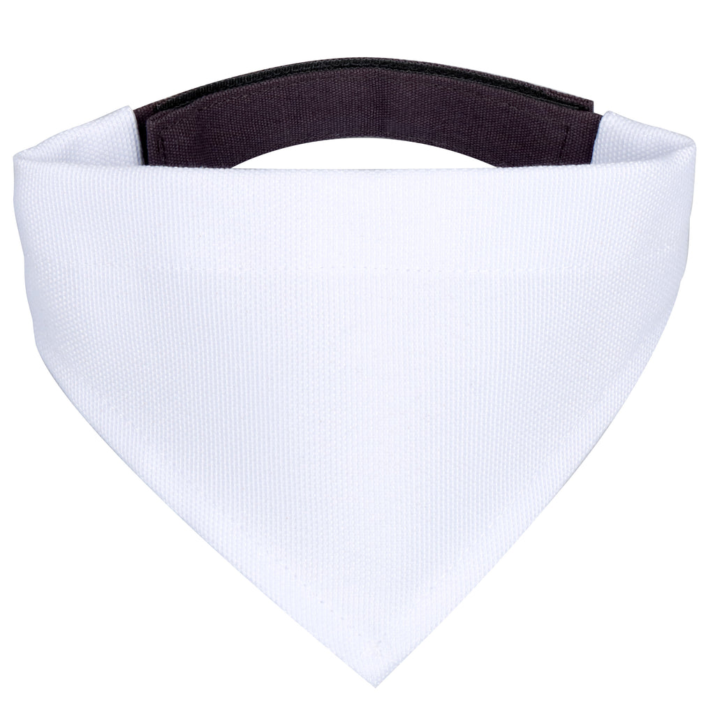 08a754e190086c09b4571a4bcd7ef670