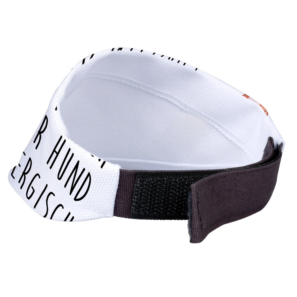 111f6500015c98e1cc79ec4eec7965f9