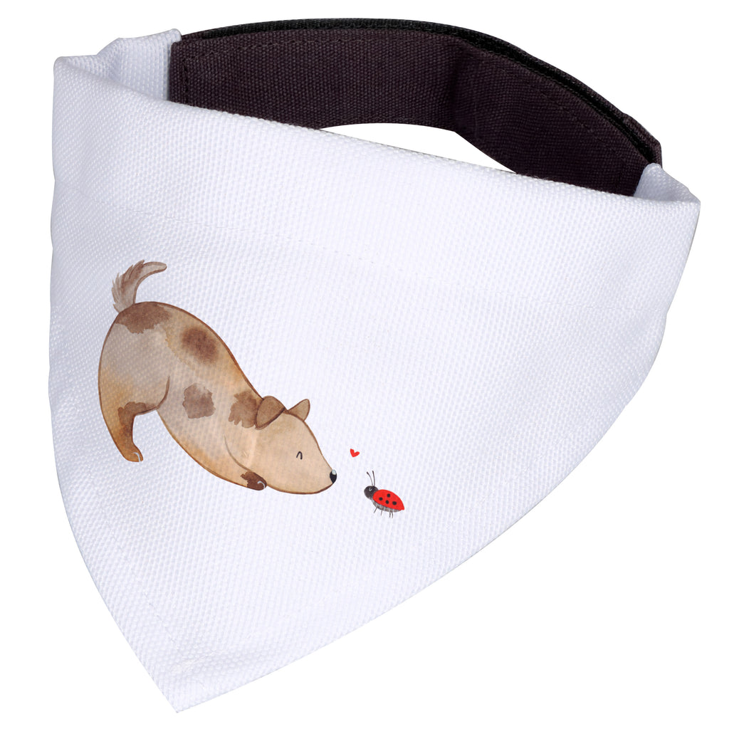 113309877507cc92b305d17d1d4cc566