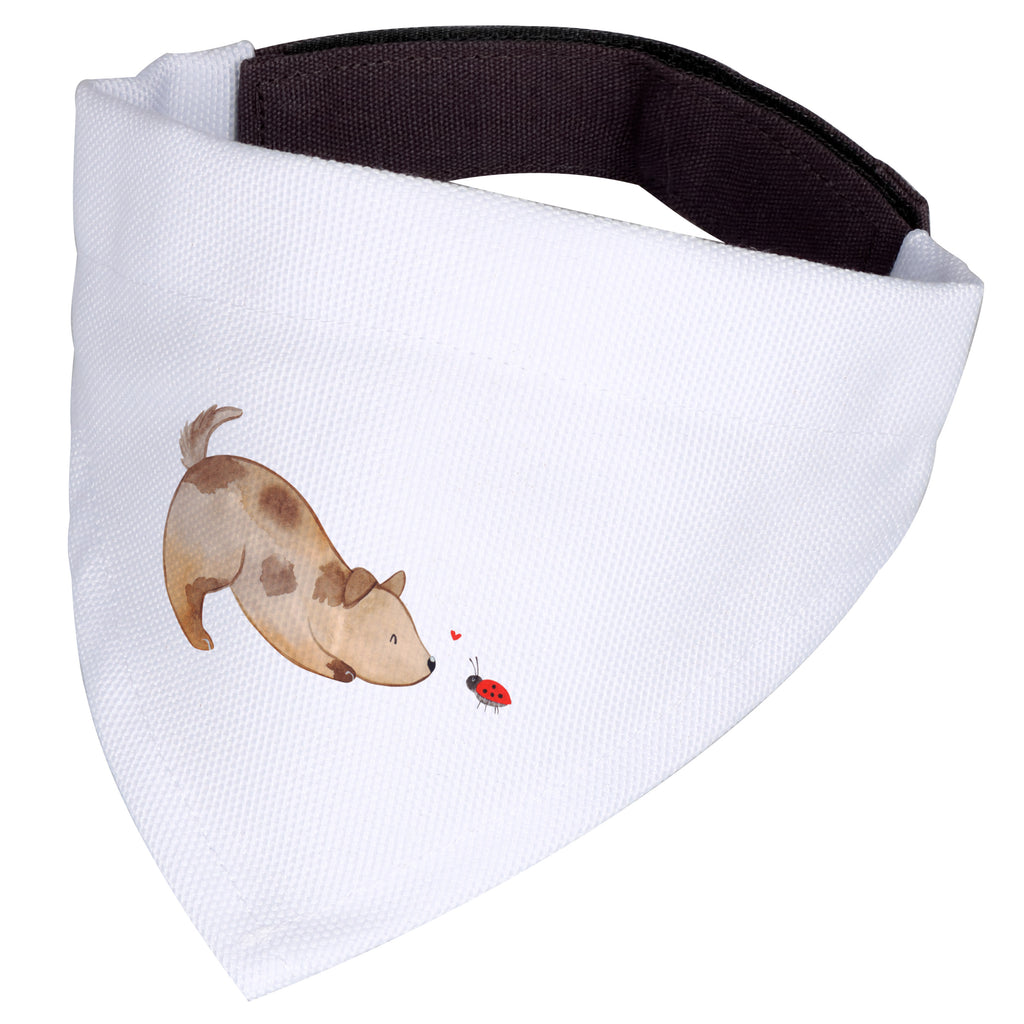 17635eb8ad0c8bd0fae7d35d761c525b