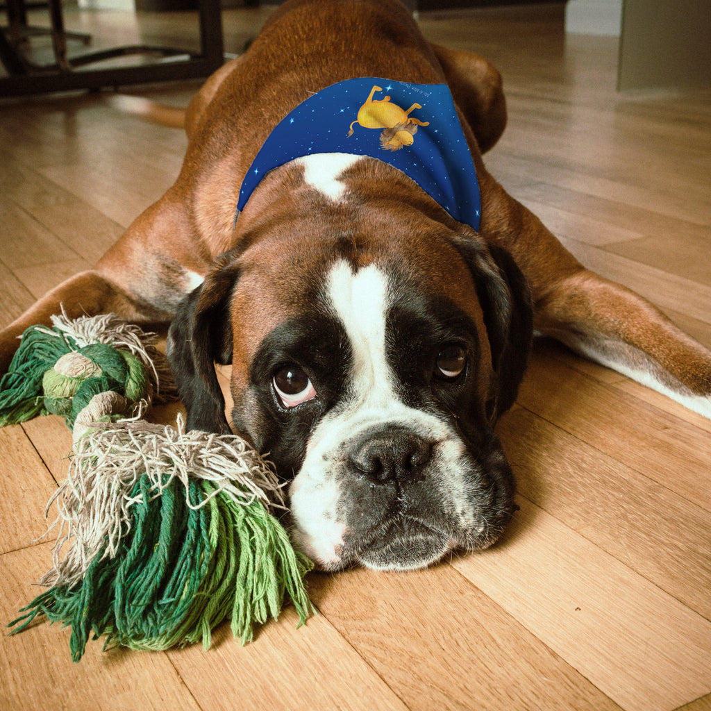 19cd5d2a5751f661d4de7b7a7f18a875