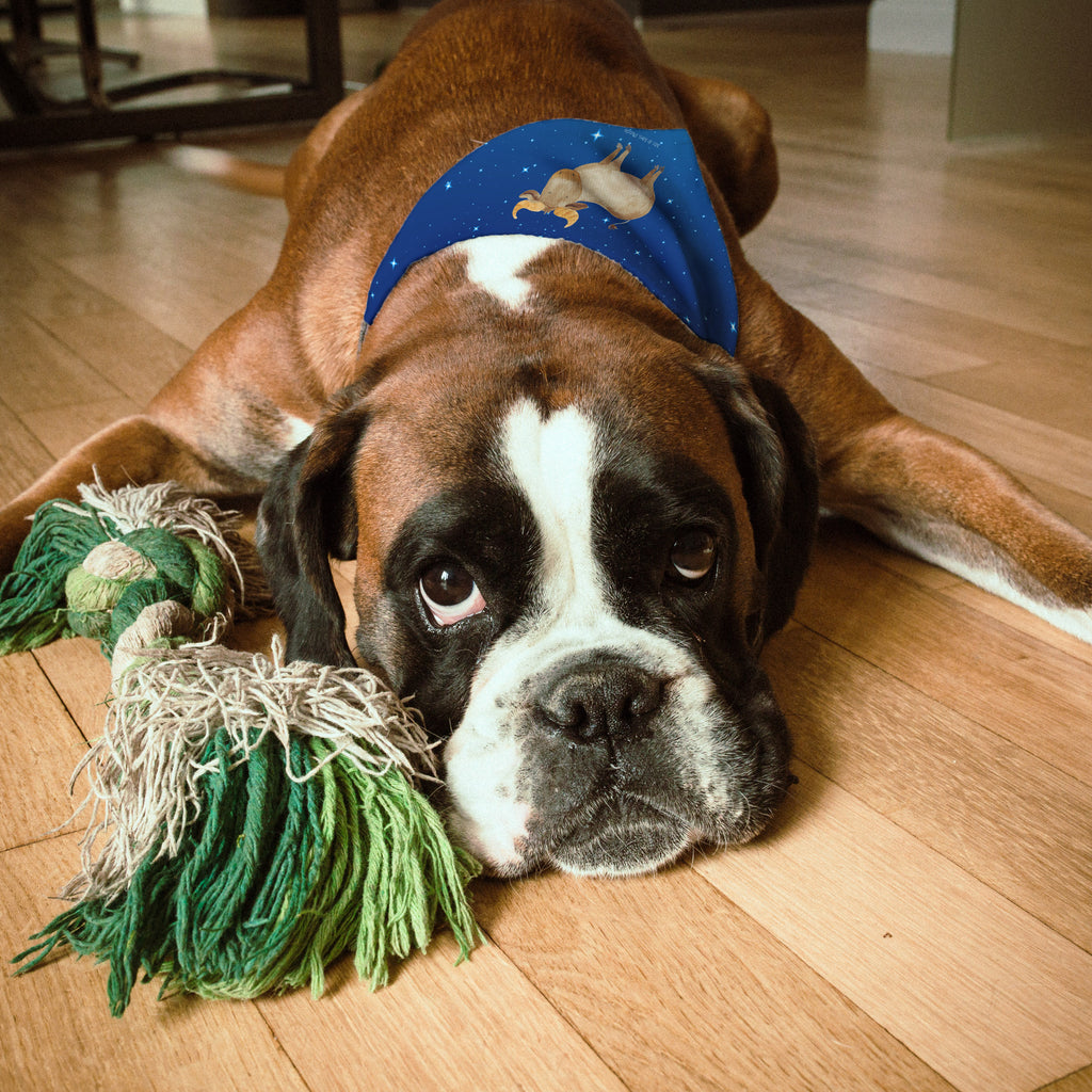 19d78bad8eecb9996d8577376eecc87c