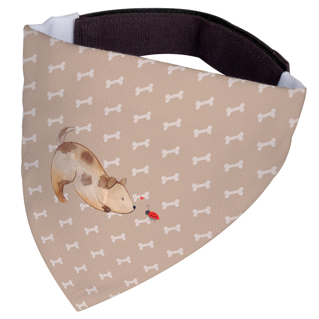 24eee63a763ba100559143d9f3630d66