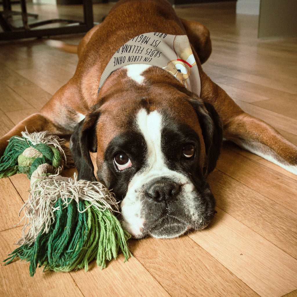 270fa9b0783cbcb5f44cc3d9afaea6bd