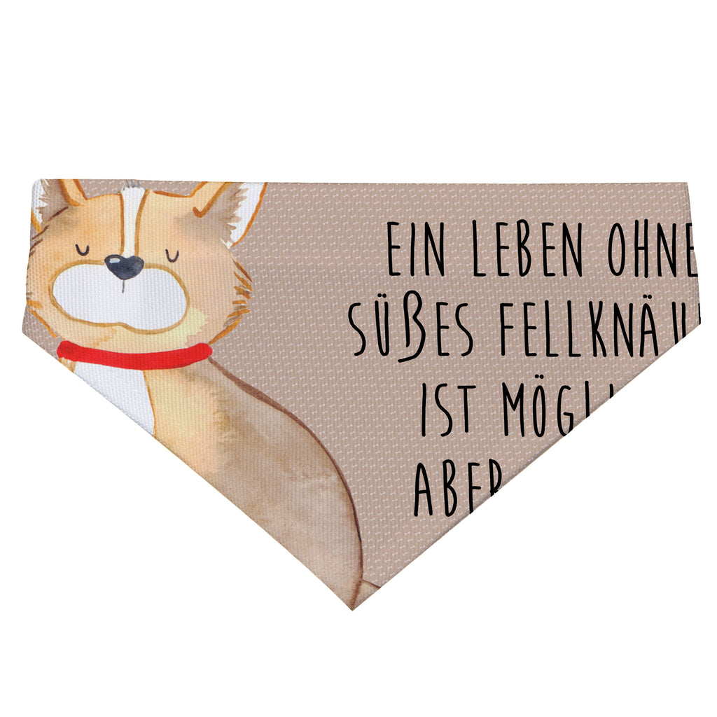 278736d5f96fd3ee69d1f7eb1d4a8ae8