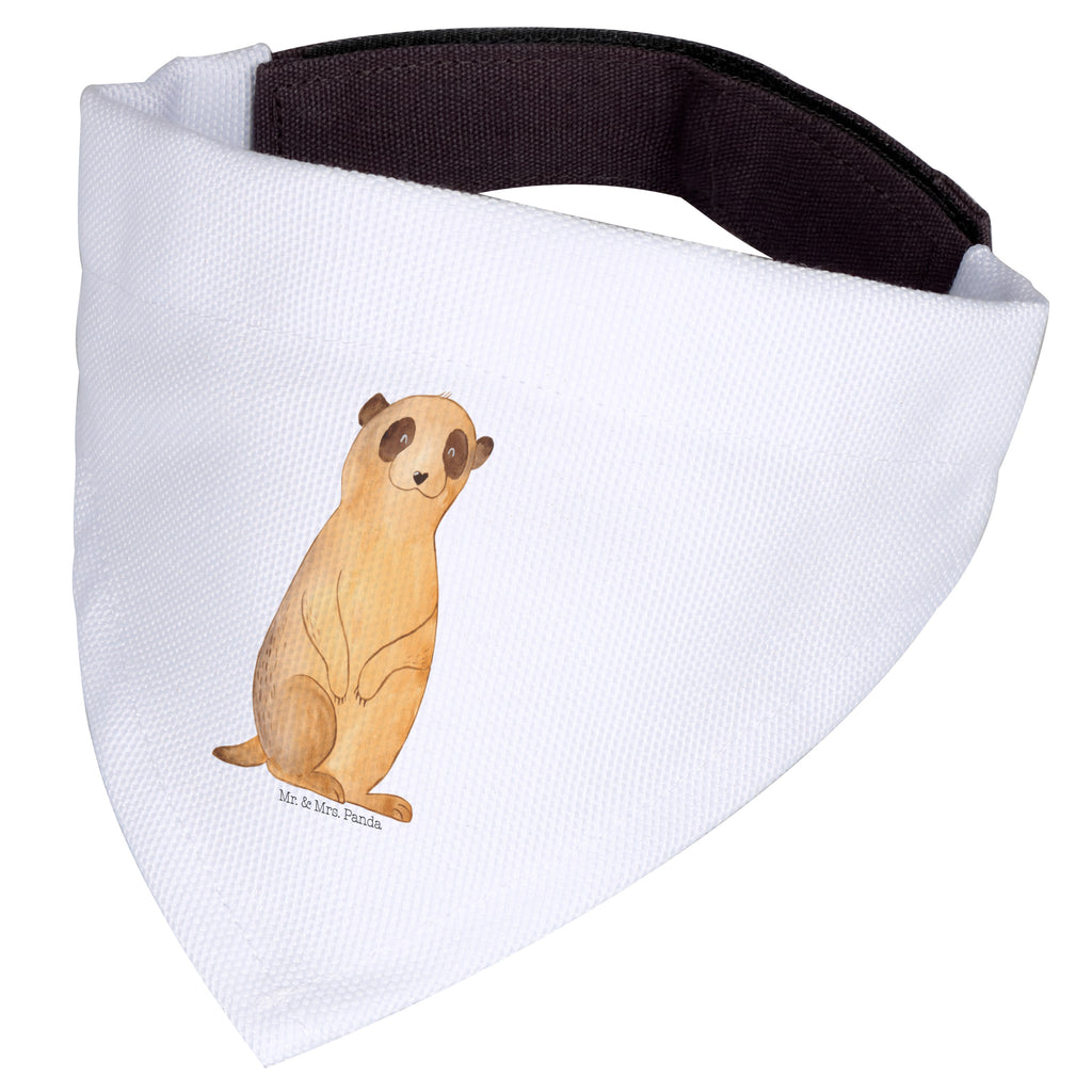 308b82b32628b7f133a8b848a51498bc