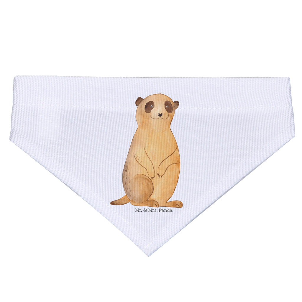 3166651a8f73de14c080fa80434cef99