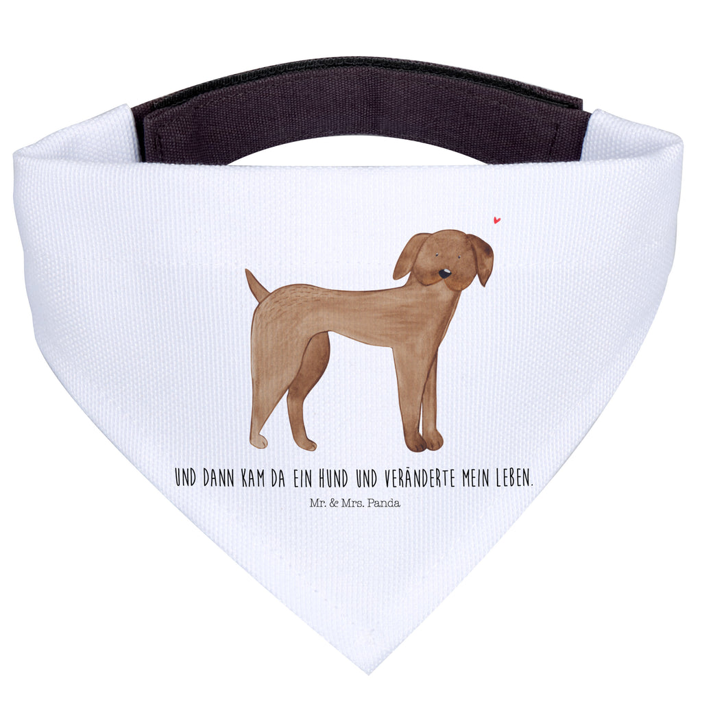 355de550463e010a47d54efa5c5b34f0