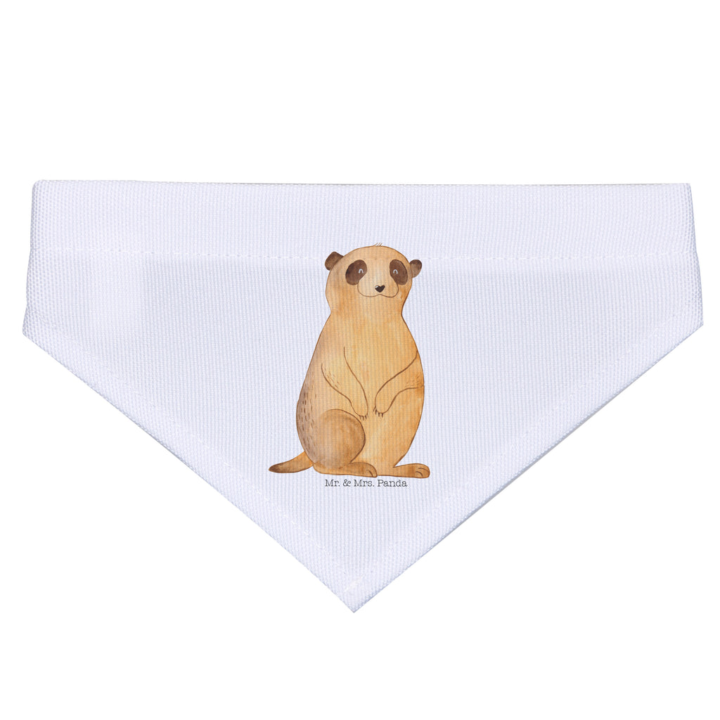 35ccdaed2f46381db89d9345fe50fa9f