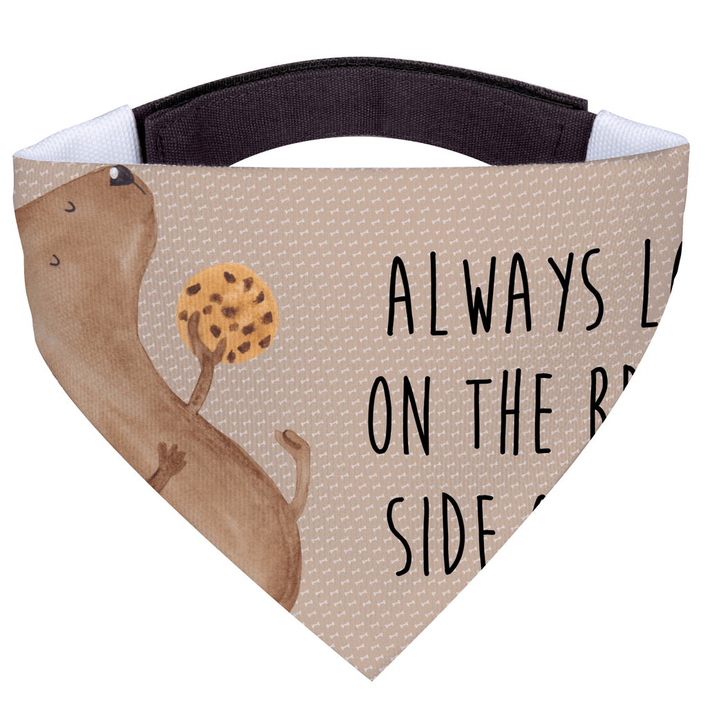 43ef1132aea90c6d3ce7f4b5e587c3bd