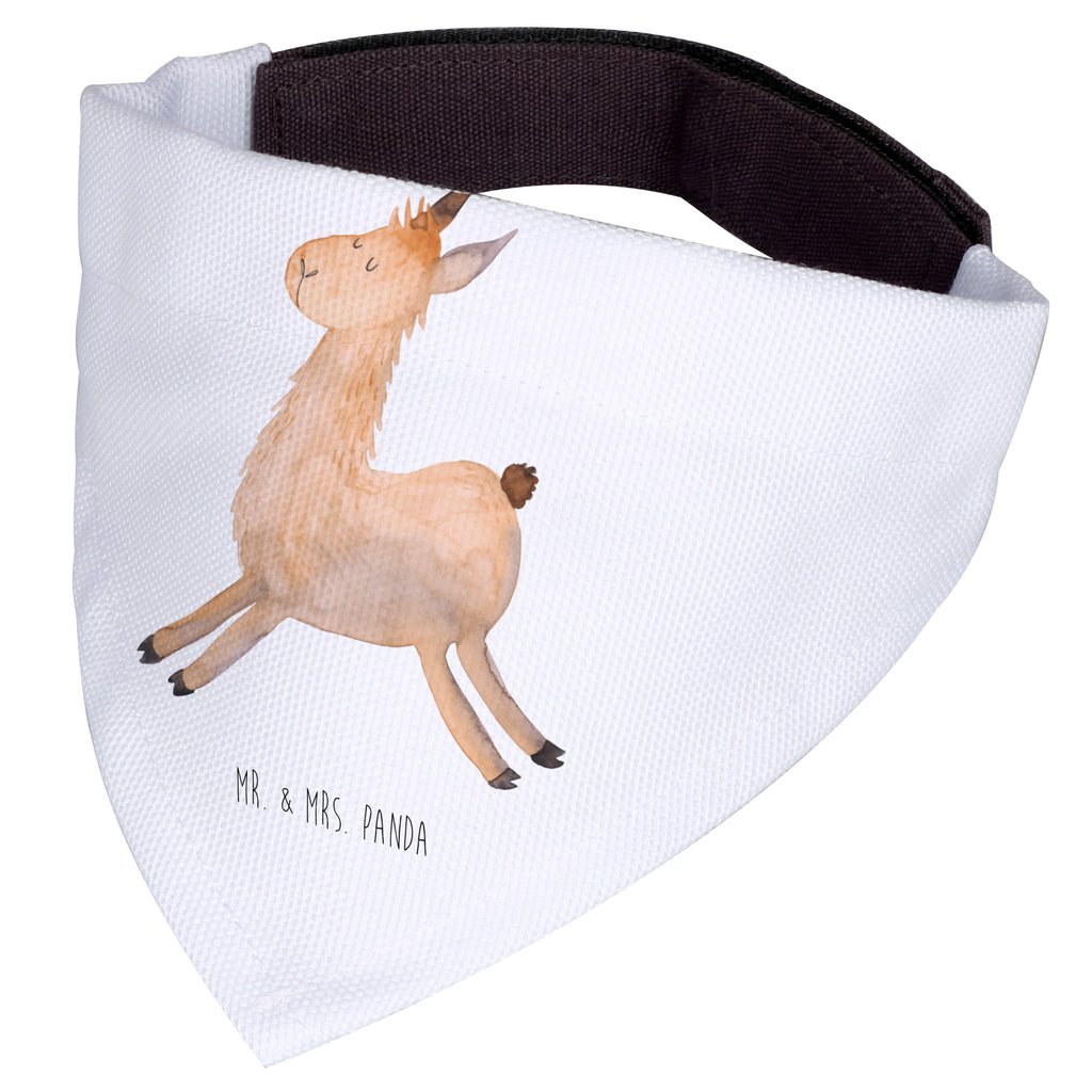 491576a5a1d2e35f2a69c23a9bef2fc3