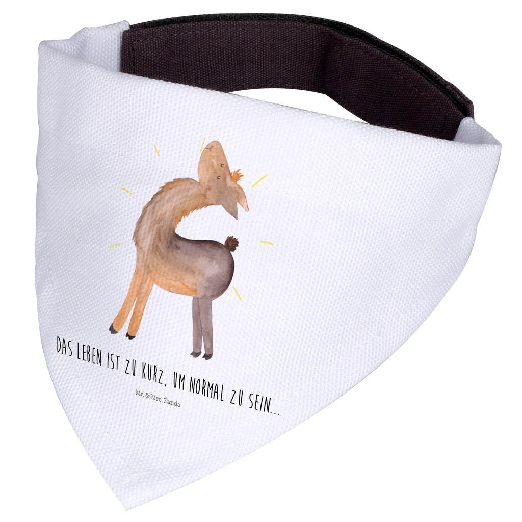 4bdeef09f00ab65b48fc8bb6eb5be2d8