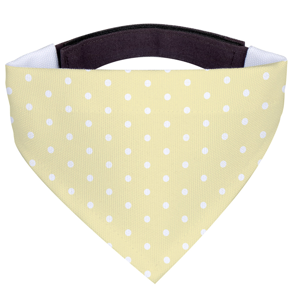 503c145f4848dd338824f3e5d89e778c