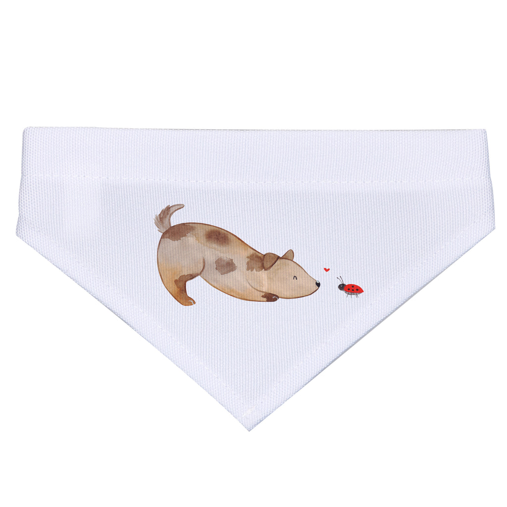 50c1bdf9ed28c5d48d2f17845b575c8e