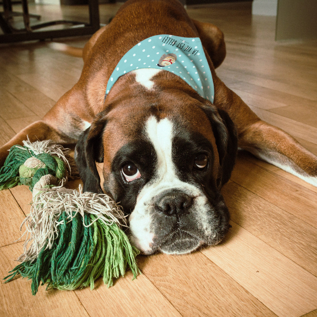 614726266b40213403fc69ea9d6e3684