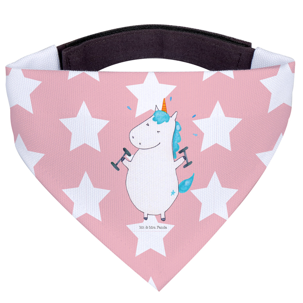 6448b8d50a926c4c6a7722e72e78272d