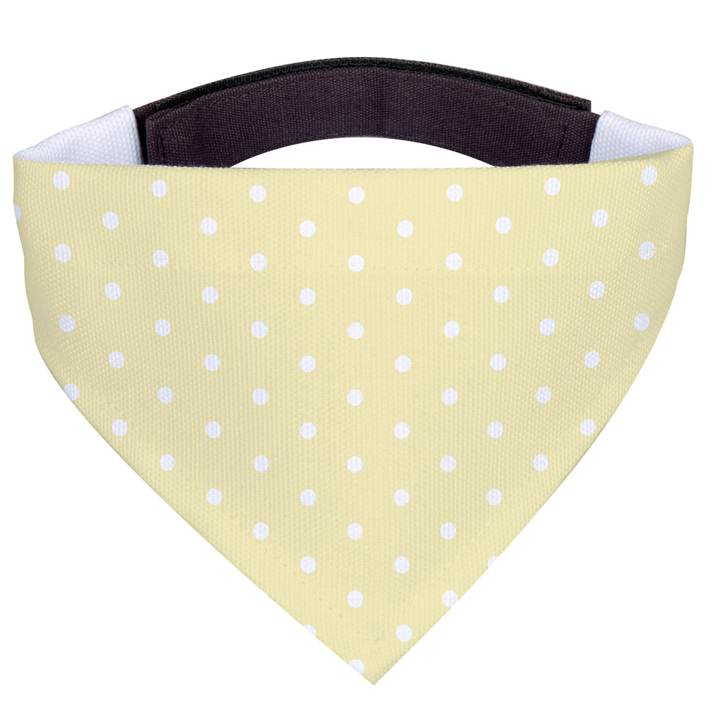 6b4c93d656fd41a88f607eaa850d7d12