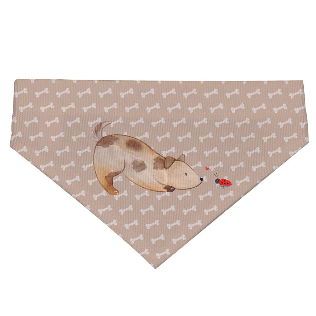 6f51d5df0bd45ee0a230a0e07e69d506