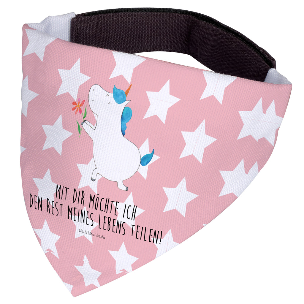 702e49a27fa39b0c7e2ef2403c780e63