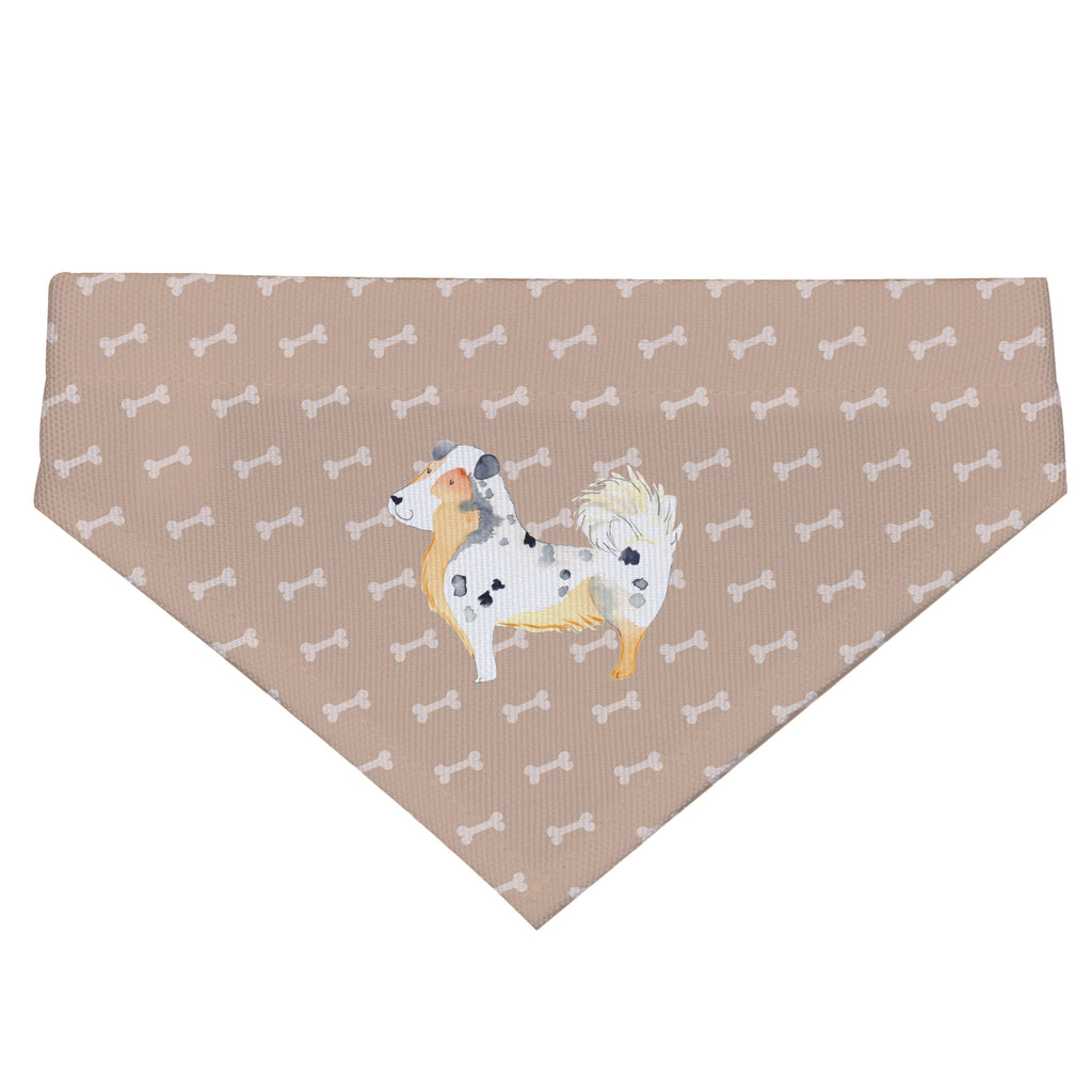 77bc6f61ca69994ef9a6c22ab693bae1