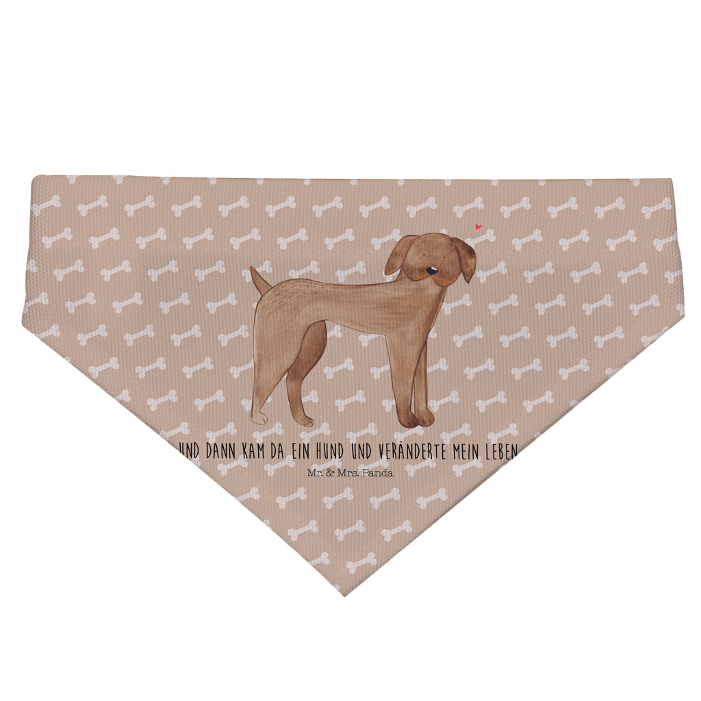 7caca086317c075637a89b31881268c2