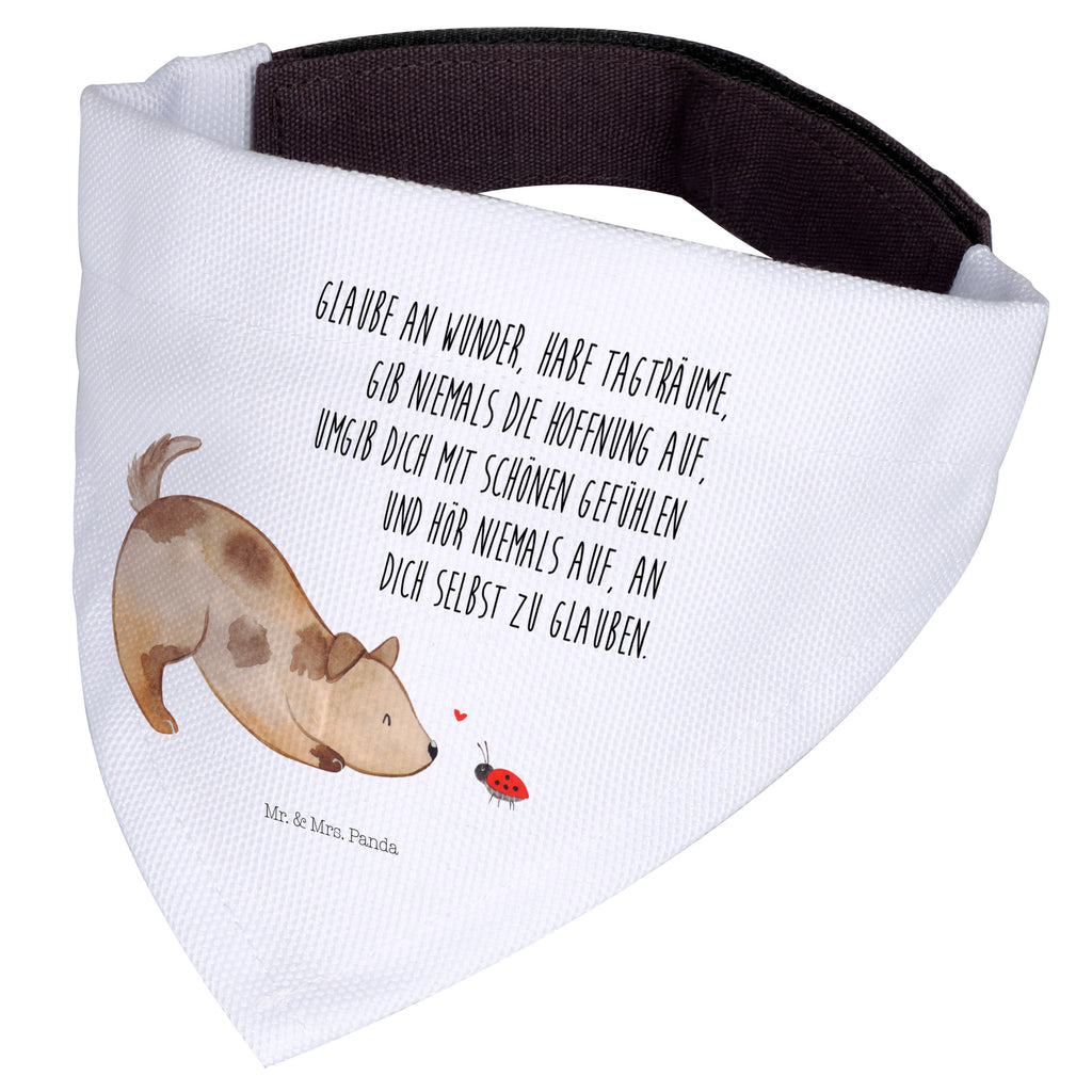 7cccd55aff1b757a2b427f6746d70f82