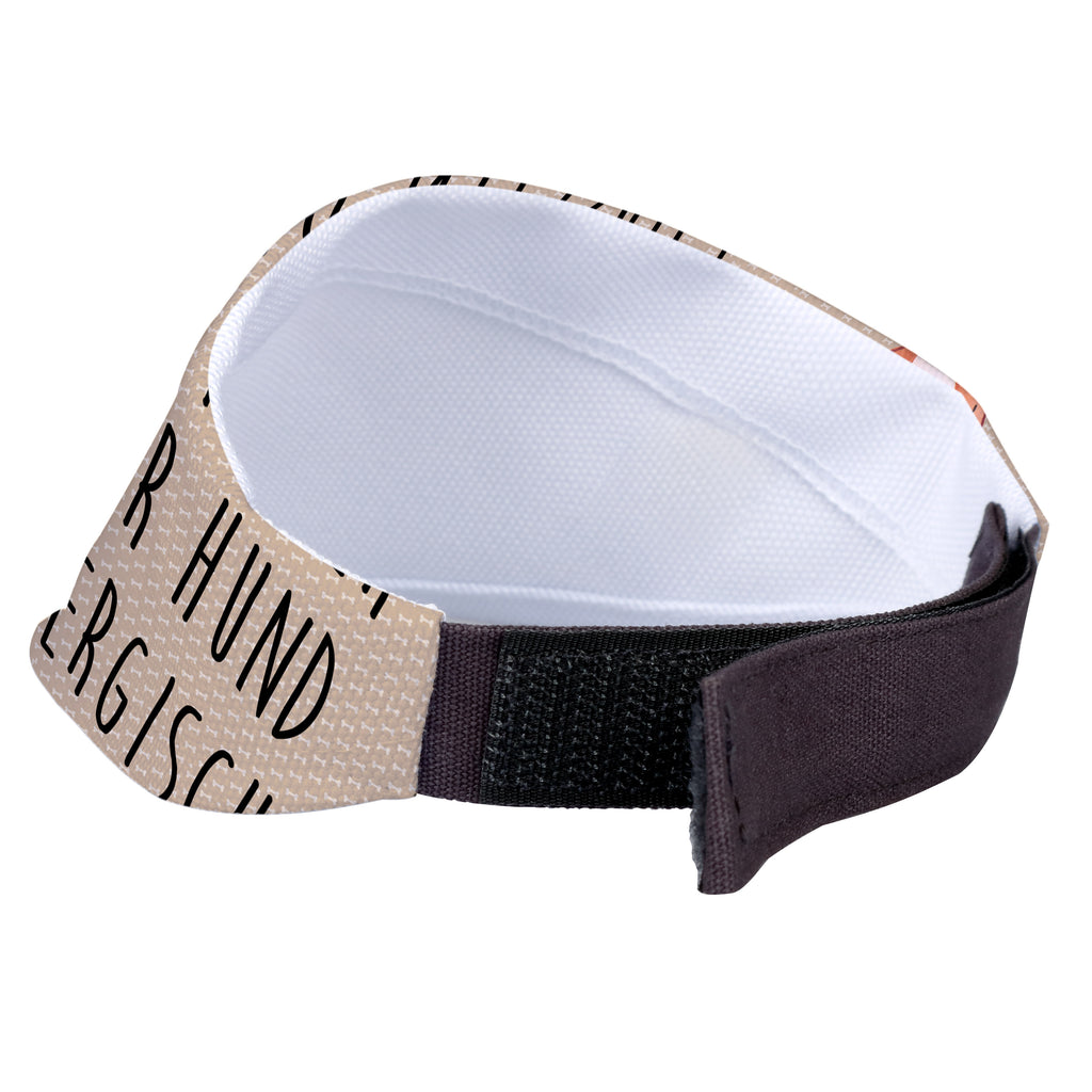 801fe11dbbea2b49c979aead254febf5