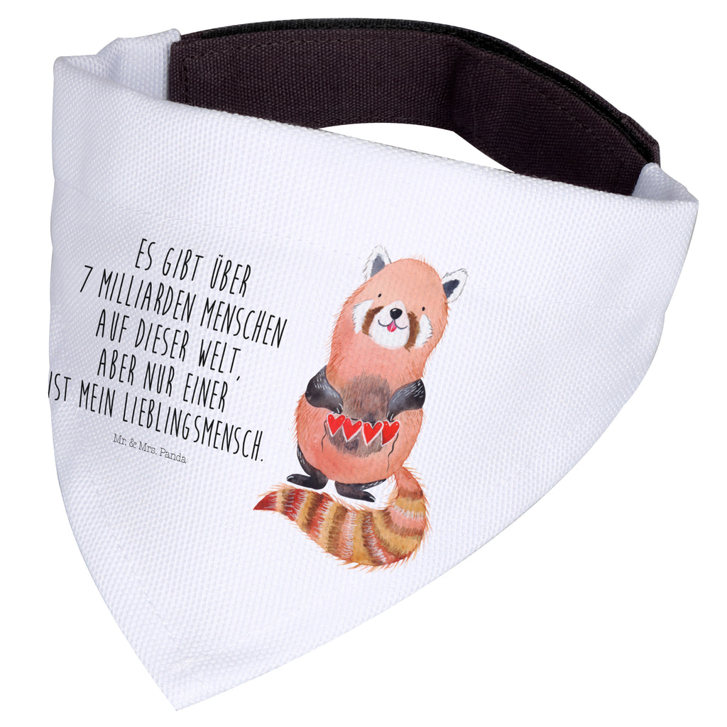 802399cac0675a3ab458113843c1270f