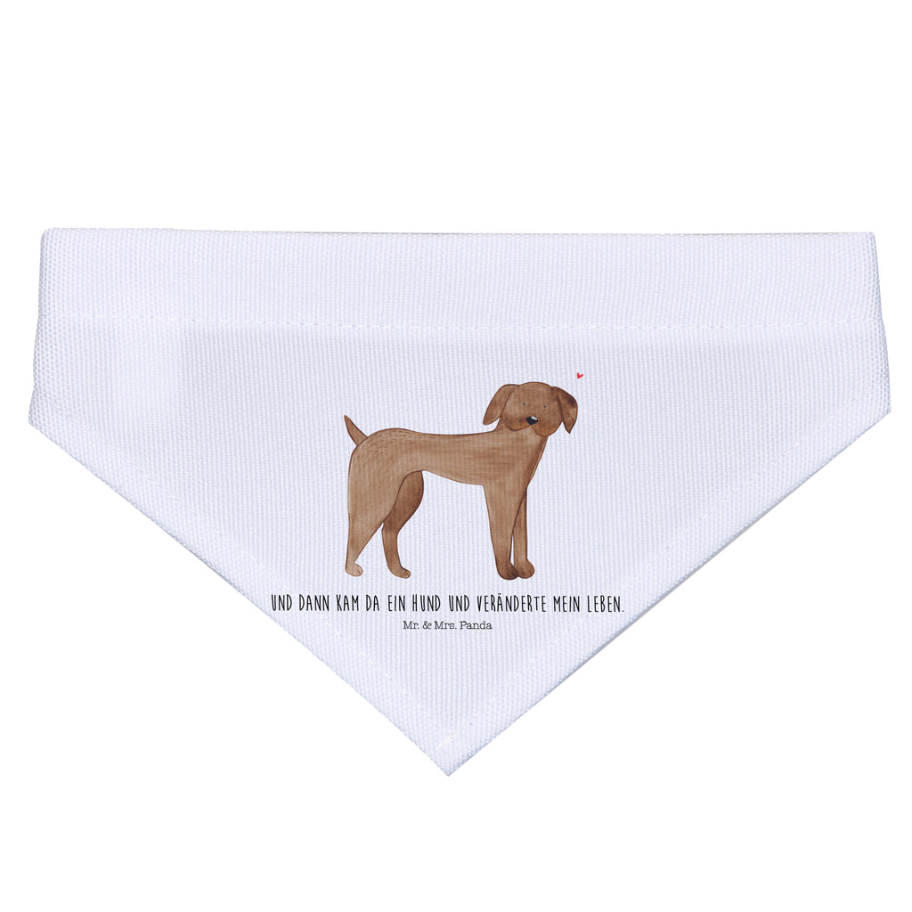 857705dcc872c1751cc140df67047f84