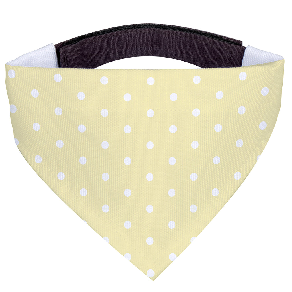 873b8eb7ad64378f5667ff3001b6cc6b