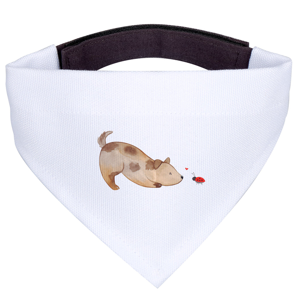 880018afd823dbd8f5407cf0094432e2