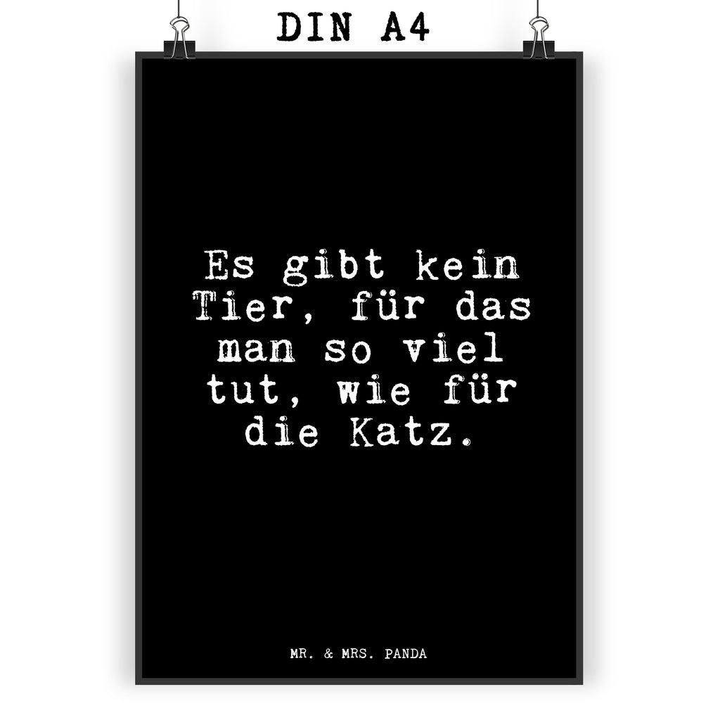 8fdfe3791e111699040e3d2678ace20b