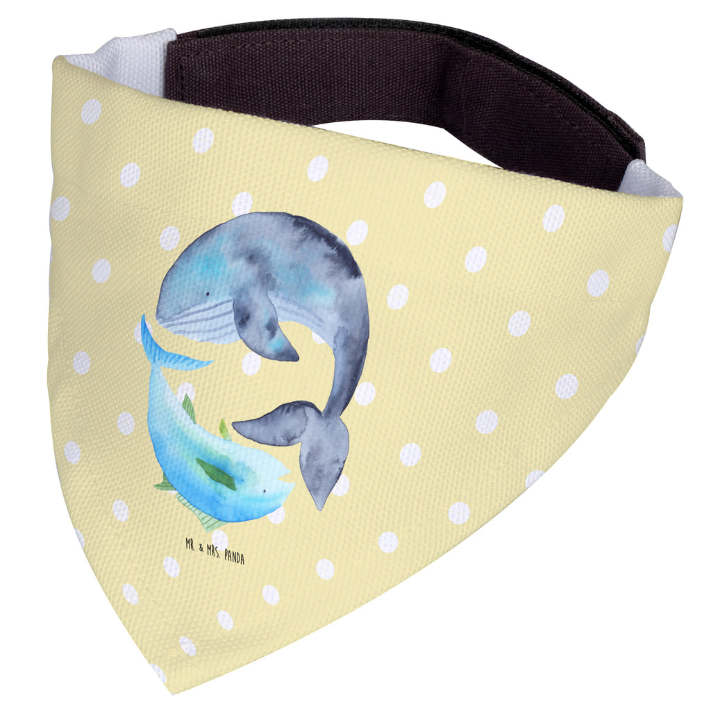 919427a68a34d4d670f6b6c2f074b8dc