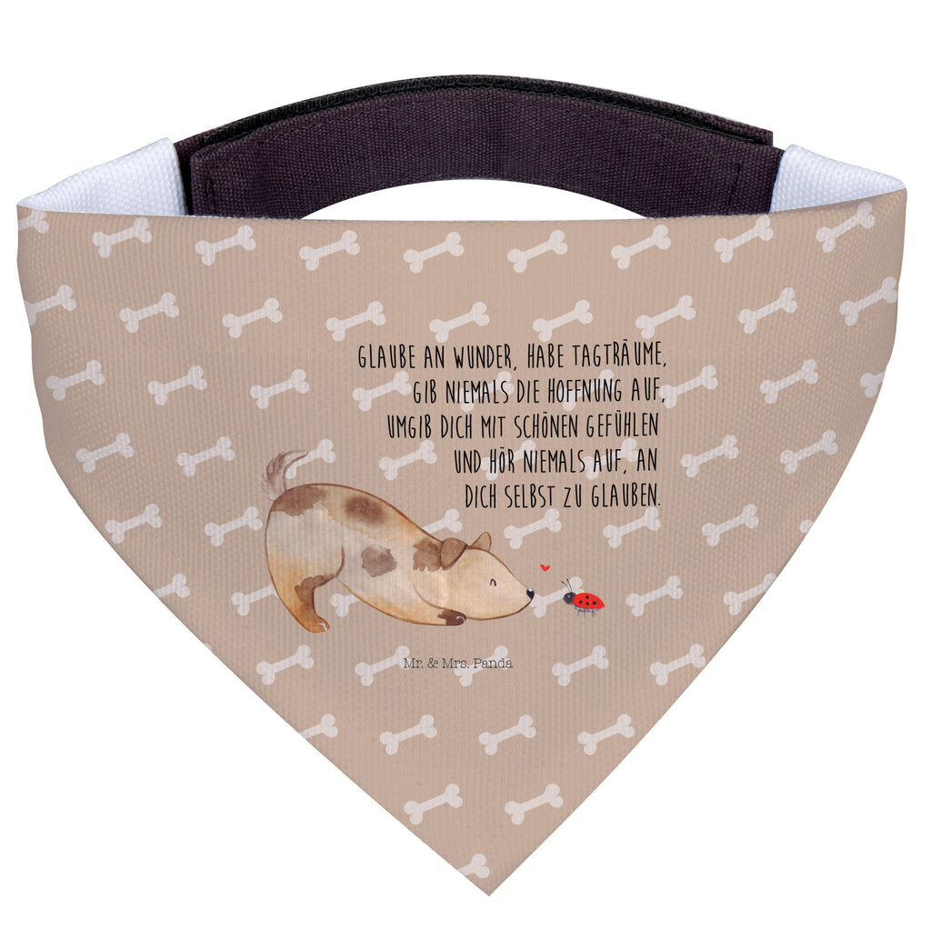 9ce01daf6d3c3d24224d0e62e349c775