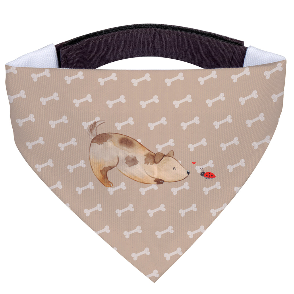 a8e2cd2b28e2cc410ce5bf5e9577d8c0