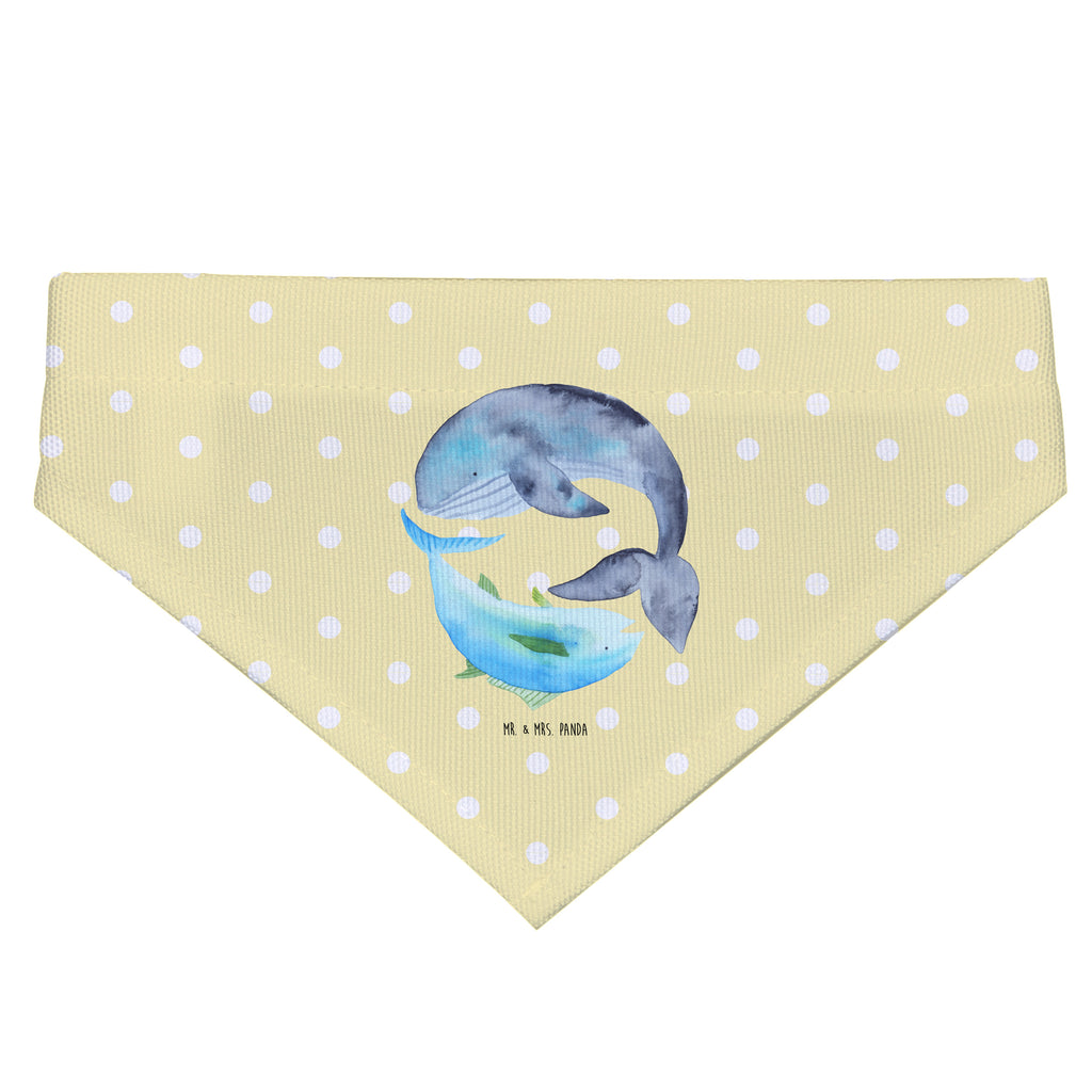 b0a6ccba255425864482d421f0f97ee1