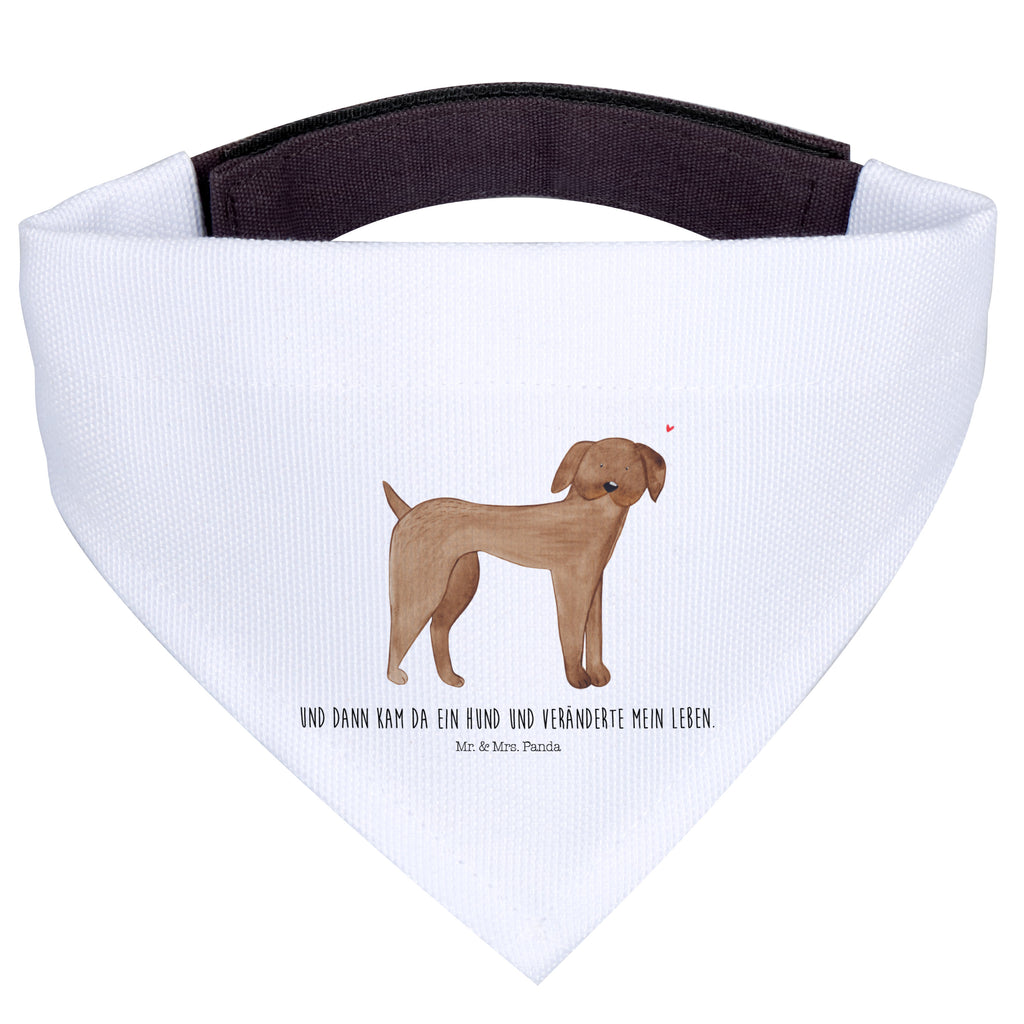 b1a54d15aa33107e66d0d60744f46b4a