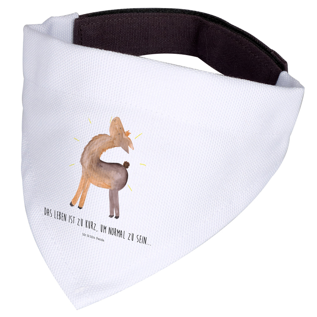 b3f728dad0ab80f34ca5fc45f42cbaf4