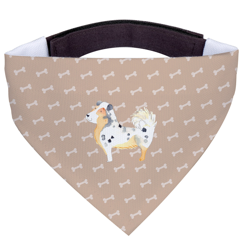 b6cddc3a4254a115d4477f68bef39ed5