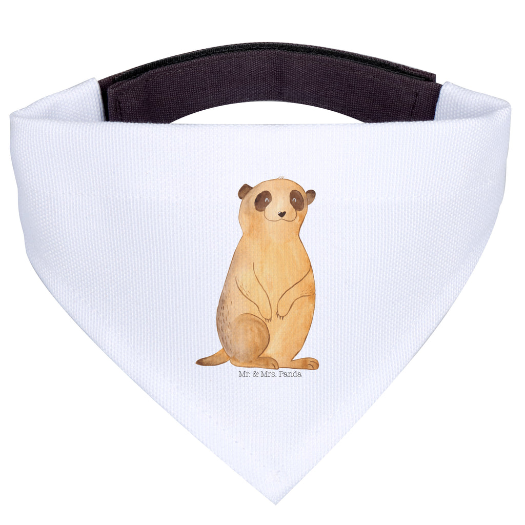 bbd5809366df4995f1c1bb741c1d2328