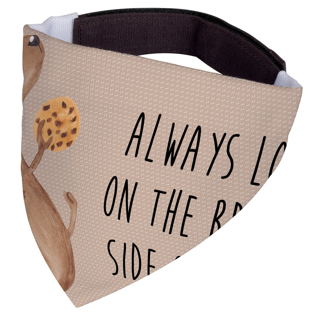 bcb05b8b186ec3ac1cb9779526a1f6f4