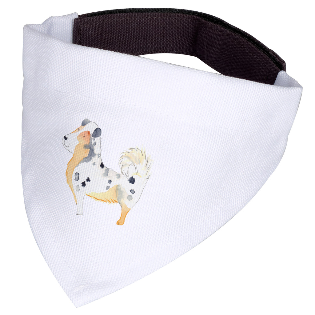 bfef09cb5ddc7e6c7cb669646dc41562