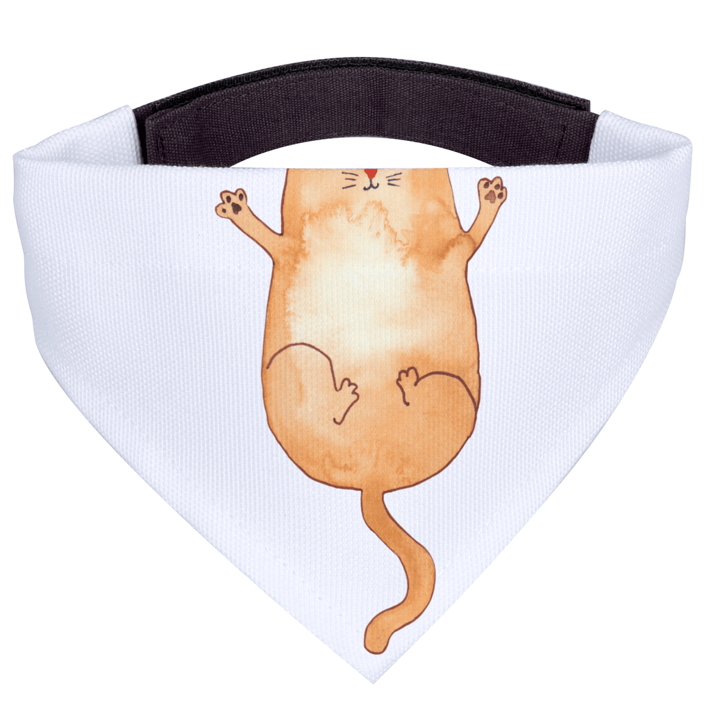 cc3be3c16430f4e0d1c94bce6018c82f