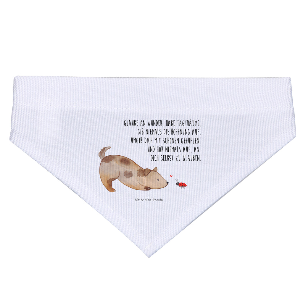 ccc1f6fb29b5ba9a5e68a48438076aa4