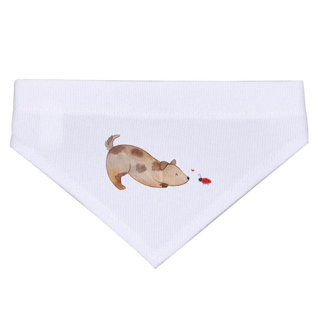 ce855aeffecdd41d078cca67295e9b29