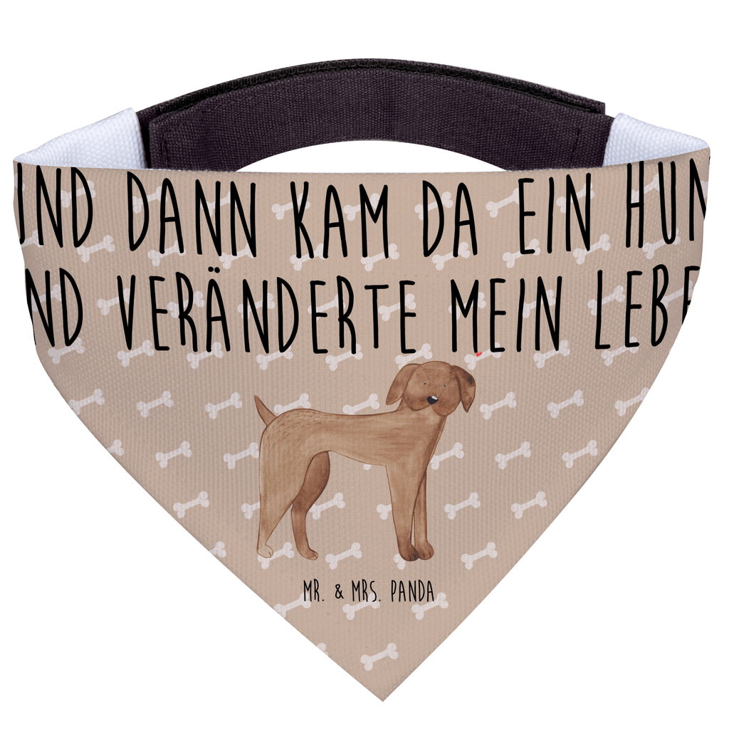 cfe2e779c58b8f962e29ddcec6f6b416