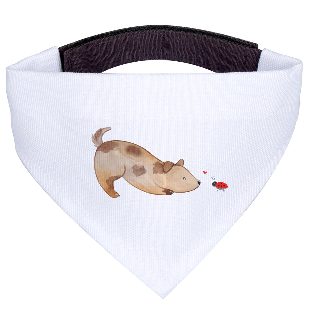 d3b3756ffe9e21901c793ffa605317a5