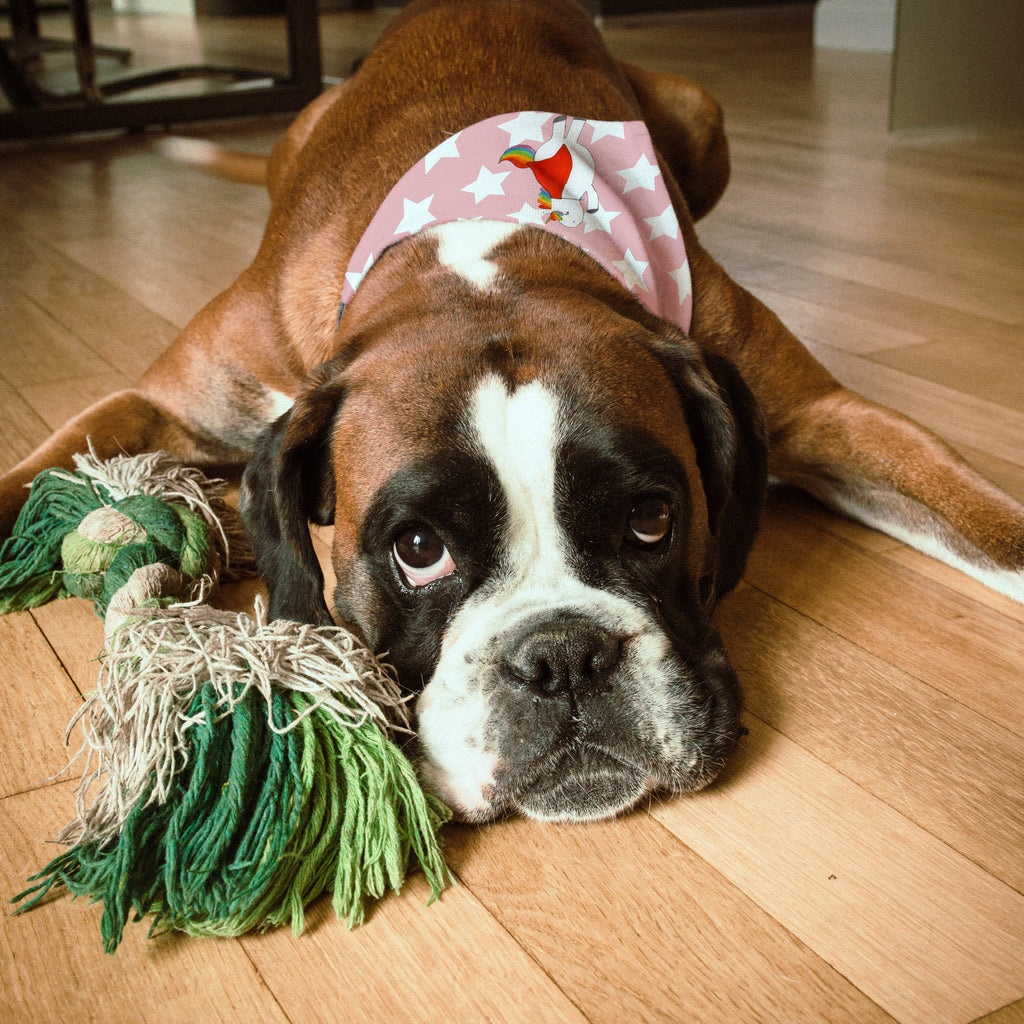 d83a1802562e3e4434d80d03210a2844